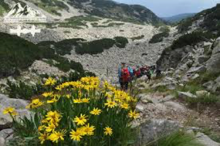 Hike in the Pirin mountain | Lucky Bansko SPA & Relax