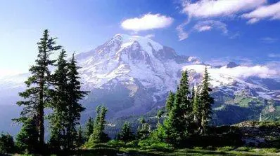 Снимка Пирин парк | Lucky Bansko SPA & Relax