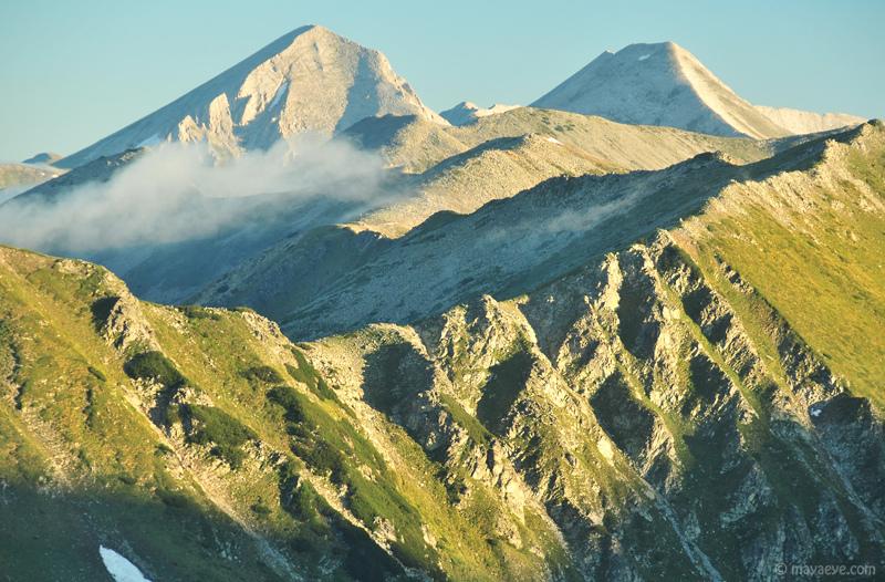 Vegetation Vihren peak | Lucky Bansko