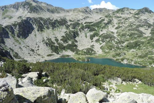 Picture of Fish Banderishko Lake | Lucky Bansko SPA & Relax