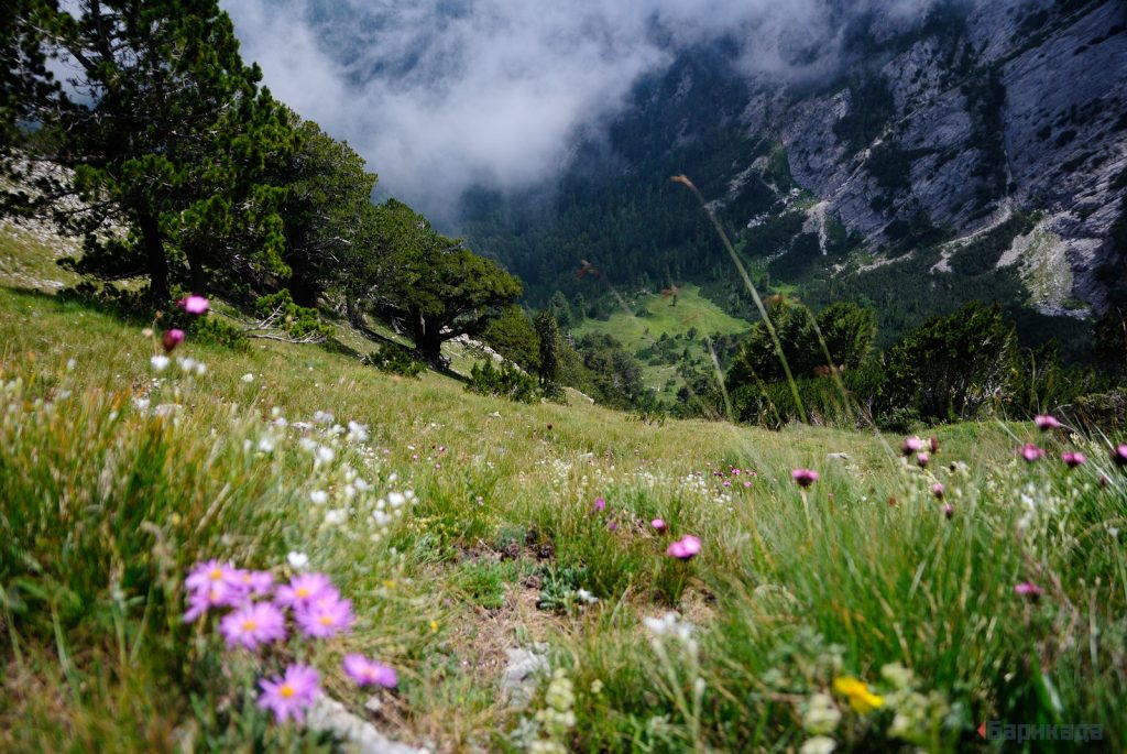 Bayiuvi dupki reserve Pirin | Lucky Bansko