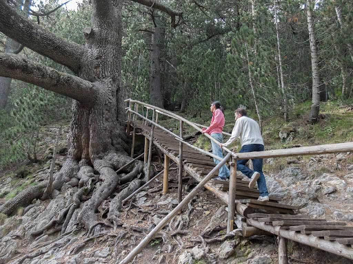 Trip to the Baikusheva Mura | Lucky Bansko