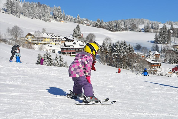 Sports clubs in Bansko