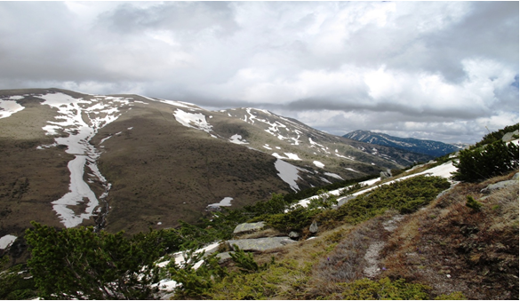 Parangalitsa Biosphere Reserve in Rila