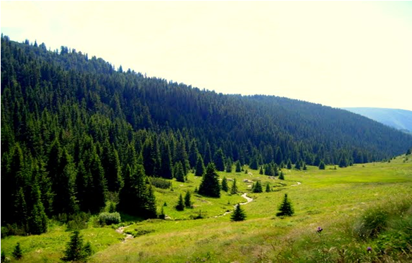 Parangalitsa Biosphere Reserve in Rila